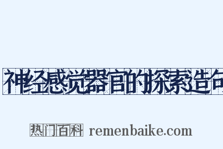 神经感觉器官的探索造句是什么意思的图片